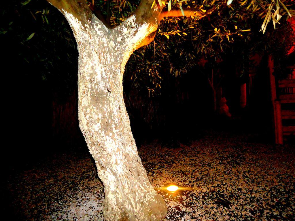 Bed and Breakfast Ciuscia Calatabiano Esterno foto
