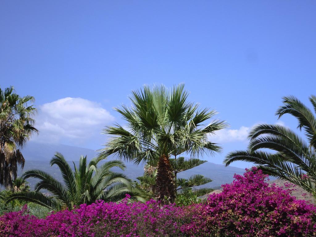 Bed and Breakfast Ciuscia Calatabiano Esterno foto